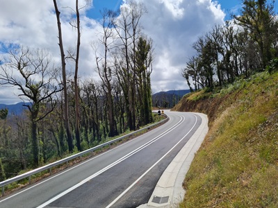 Major Road Construction